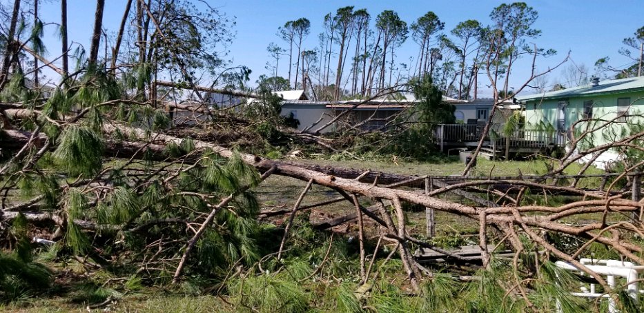 027-Looking towards Bud's back yard.jpg